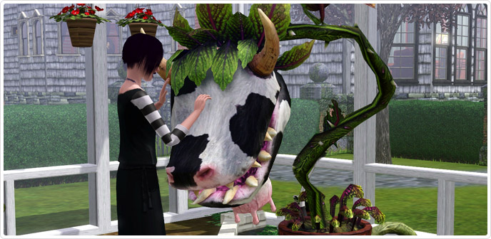 Laganaphyllis Simnovorii Aka The Cow Plant Store The Sims™ 3