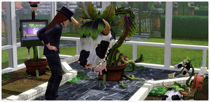 Laganaphyllis Simnovorii Aka The Cow Plant Store The Sims™ 3