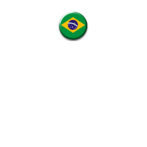 Brazil Flag - Roblox