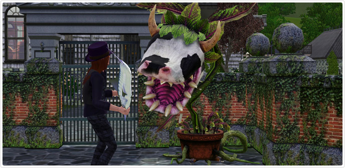 Laganaphyllis Simnovorii Aka The Cow Plant Store The Sims™ 3